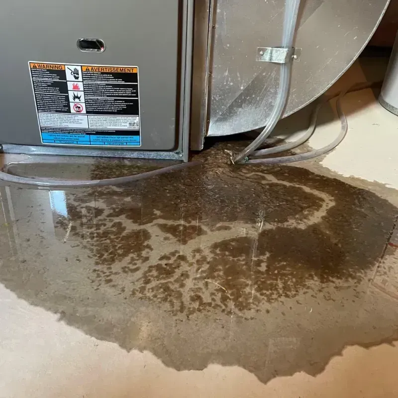 Appliance Leak Cleanup in Brothertown, WI